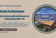 Bonn International Research Fellowship