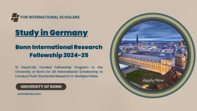 Bonn International Research Fellowship