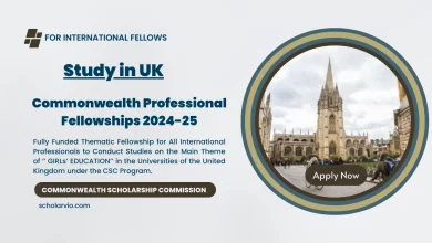 Commonwealth Professional Fellowship