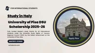 University of Pisa DSU Scholarship